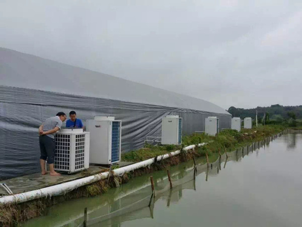 泥鰍養(yǎng)殖加溫?zé)岜霉こ?></a>
                <dl>
                    <dt><a href=