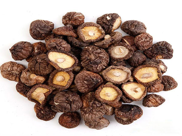 香菇熱泵烘干解決方案